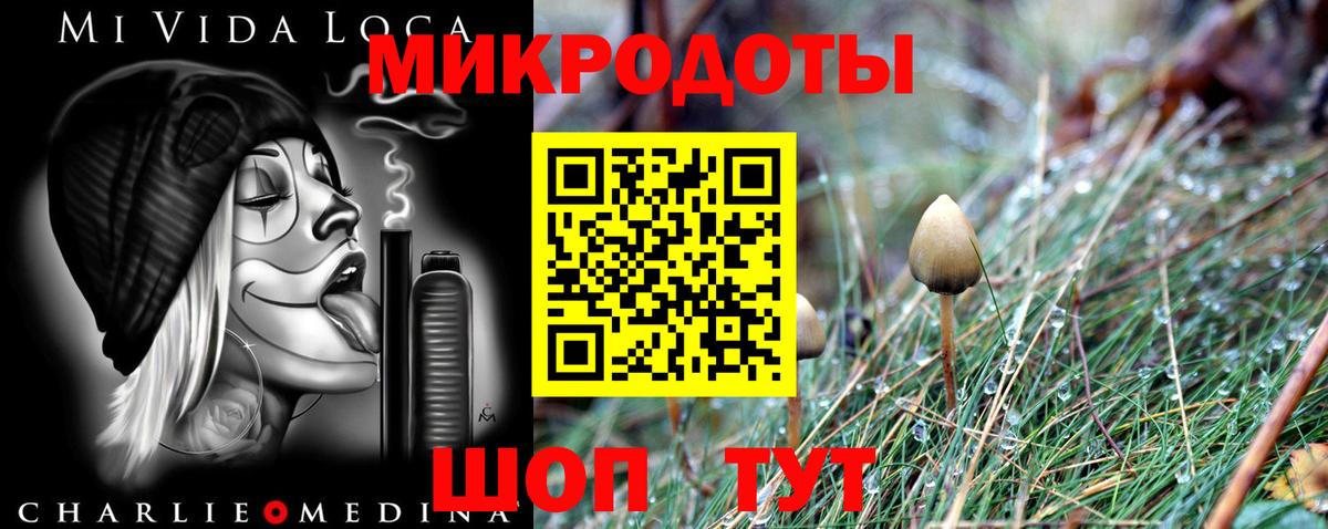 Галлюциногенные грибы Psilocybine cubensis  Псилоцибиновые грибы MAGIC MUSHROOMS  Карталы  Вход с VPN 